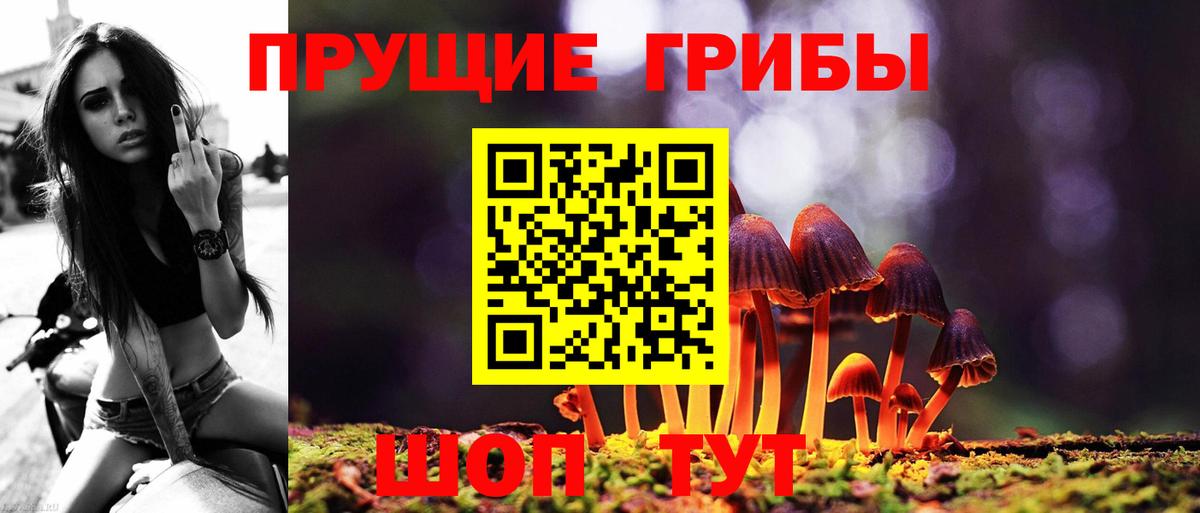 Галлюциногенные грибы Magic Shrooms  Вход с VPN  Котовск 